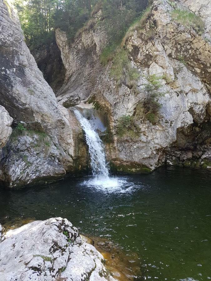 Ferienwohnung Unterduermoos Annaberg im Lammertal Exteriér fotografie